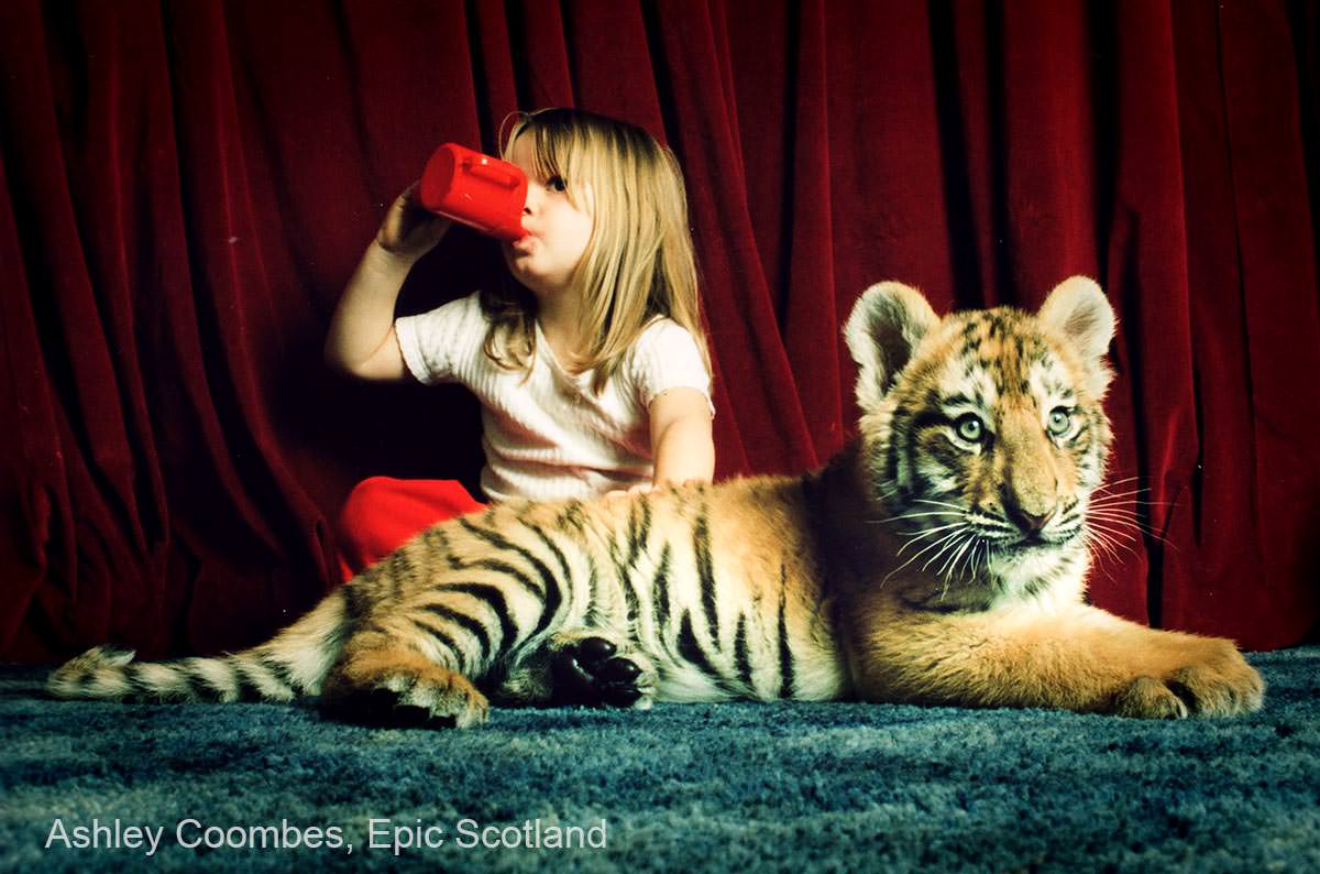 Tiger cubs at home