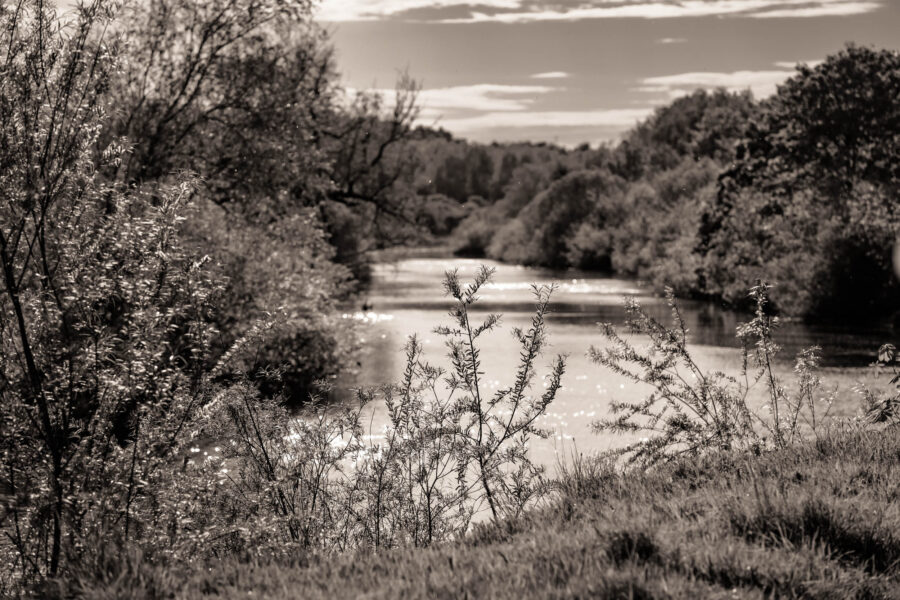 River Clyde at Baron's Haugh, Clyde Valley.